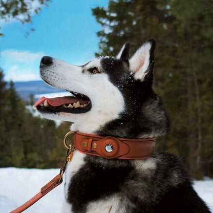 Airtag Pet Collar