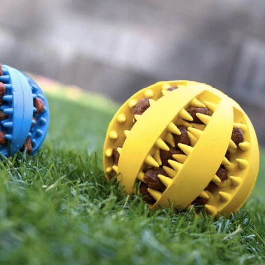 PlayBite Treat Ball